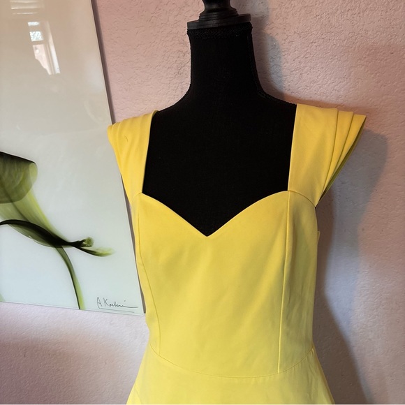 New Alice and Olivia dress size 10 - Picture 2 of 6